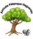 AMICALE PETANQUE DE HAGUENAU 06 06 65 40 68